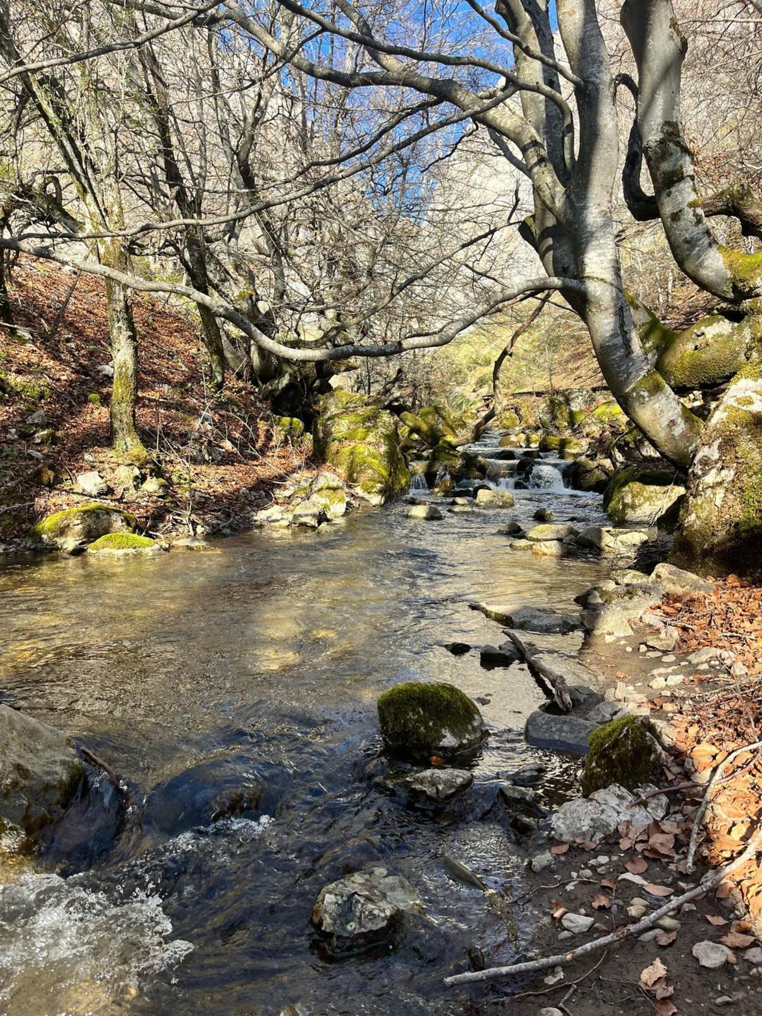 Casas Rurales Cuatro Valles Naredo de Fenar Eksteriør billede